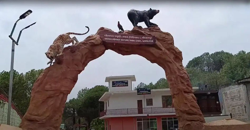 Gopalpur Zoo, Kangra, Himachal Pradesh - Vushii.com Gopalpur Zoo, Kangra, Himachal Pradesh - Vushii.com